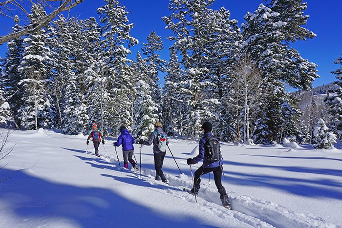 Snowshoeing at Daniels Summit 3JPG